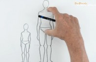 Draw a Figure in Proportion