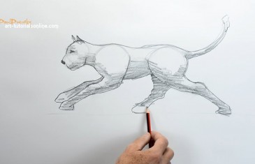 How to draw a cat running