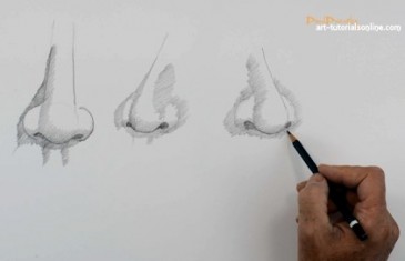 How to draw a nose simply