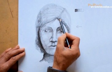 Draw a face with light and shade