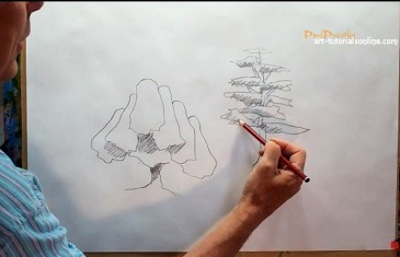 draw trees